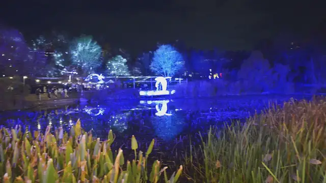 'Video thumbnail for WINTER DREAMS - תערוכת פסלי האור בגן הבוטני, ירושלים'