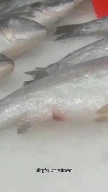 'Video thumbnail for Fish Recipe '