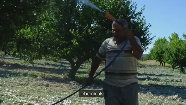 'Video thumbnail for Organic Gardening Pest Control Methods'