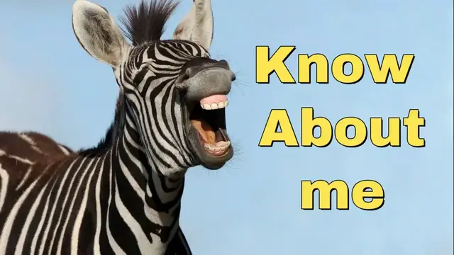 'Video thumbnail for Amazing facts about Zebra | @techwithnature | #dailyvlog #environment'