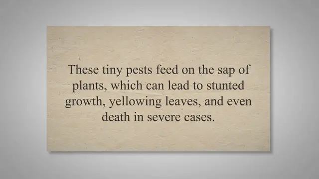 'Video thumbnail for The Ultimate Guide to Eliminating Aphids from Your Garden: Understanding, Identifying, and Treating Infestations with Natural and Chemical Solutions'