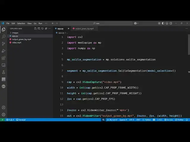 'Video thumbnail for Python 3 OpenCV Script to Replace Background of Video With Solid Color Green Screen in Terminal'
