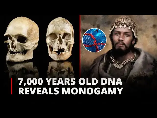 'Video thumbnail for 7,000-Year-Old DNA Reveals Monogamy in European Neolithic Societies | 12am News'