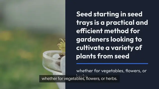 'Video thumbnail for Seed Starting in Seed Trays'