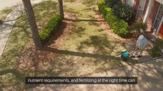 'Video thumbnail for Fertilizing Schedule for Plants'