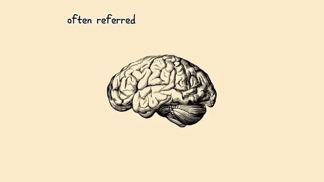 'Video thumbnail for Study Once, Remember Always- How to Train Your Brain'
