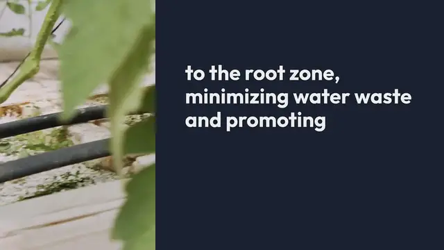 'Video thumbnail for Drip Irrigation Techniques for Efficient Watering'