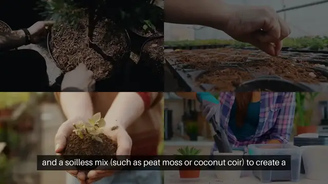 'Video thumbnail for Raised Bed Gardening Soil Tips'