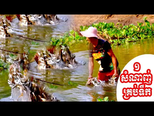 'Video thumbnail for Catch fish a lot fishman | @viralcatchfishing'