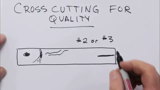 'Video thumbnail for 9b  crosscutting for quality'