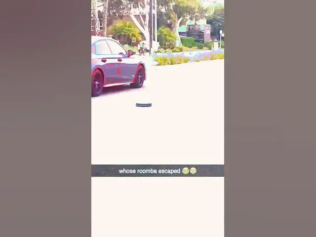 'Video thumbnail for Street cleaning special😱🔥✅ #carenthusiasts'