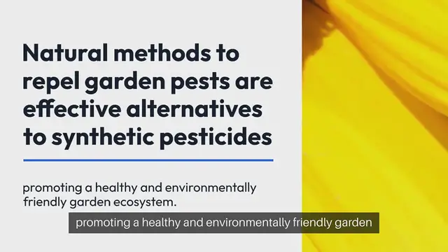 'Video thumbnail for Natural Ways to Repel Garden Pests'