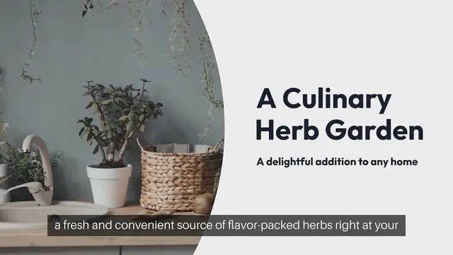 'Video thumbnail for Culinary Herb Garden'
