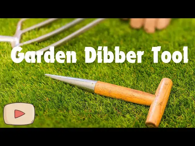 'Video thumbnail for Essential Garden Dibber Tool for Effortless Planting'