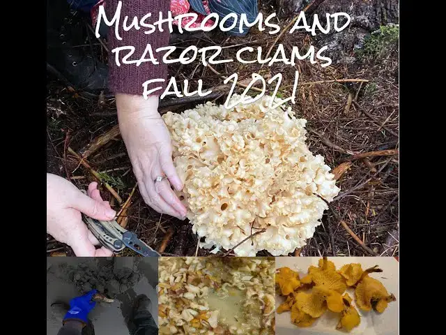 'Video thumbnail for Fall Foraging for Mushrooms and Razor Clams'