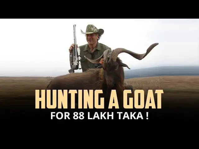 'Video thumbnail for Hunting a Goat for 88 Lakh Taka | 12am News'
