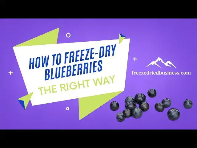 'Video thumbnail for How to Freeze Dry Blueberries the RIGHT WAY with the Roller Berry.'