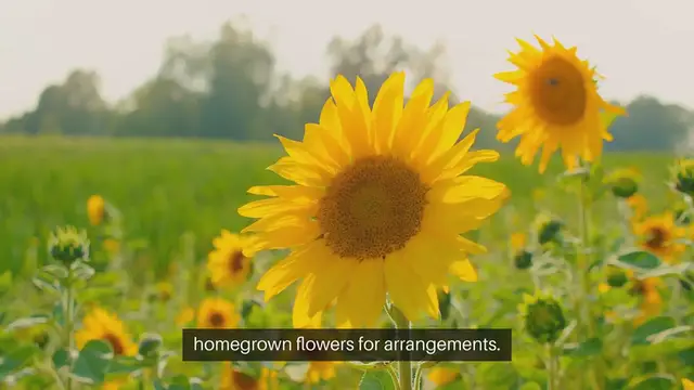 'Video thumbnail for How to Grow Cut Flowers for Bouquets'