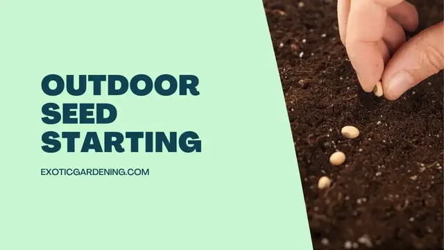 'Video thumbnail for Outdoor Seed Starting'