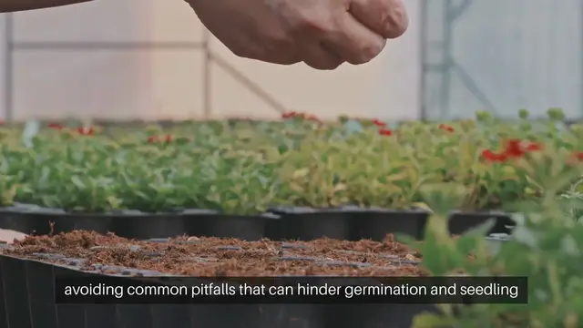 'Video thumbnail for Seed Starting Mistakes to Avoid'