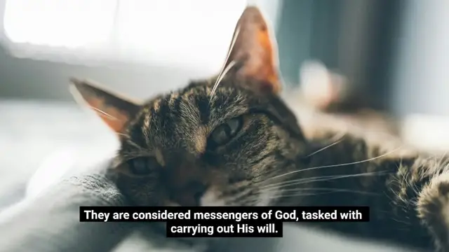 'Video thumbnail for Are angels omnipotent?'