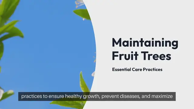 'Video thumbnail for Fruit Tree Maintenance Tips'
