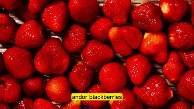 'Video thumbnail for Granola & Yogurt Breakfast Popsicles_ A Cool and '