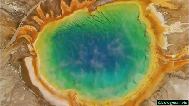 'Video thumbnail for Experience the Beauty of the World's First National Park  | Yellowstone'