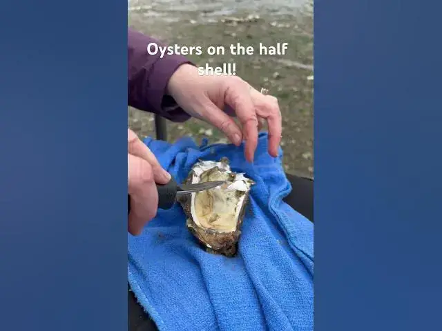 'Video thumbnail for What’s your favorite beach snack?!? Oysters on the half shell in the PNW is legit!'