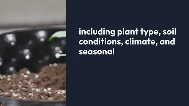 'Video thumbnail for Best Watering Schedules Based on Plant Needs'