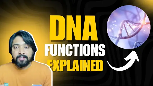 'Video thumbnail for Function of DNA Explained'