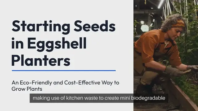 'Video thumbnail for Seed Starting in Eggshell Planters'