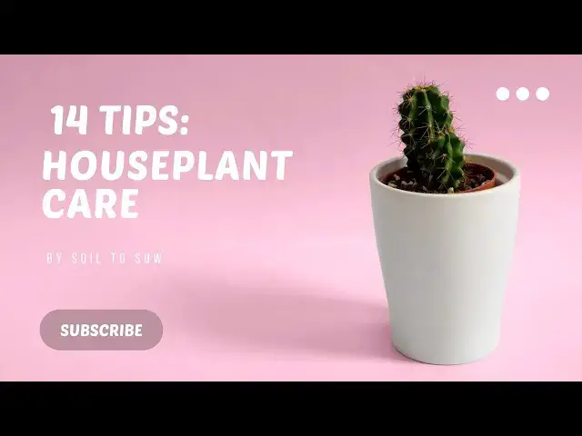 'Video thumbnail for Beginner's Guide to Houseplant Care: 14 Tips'