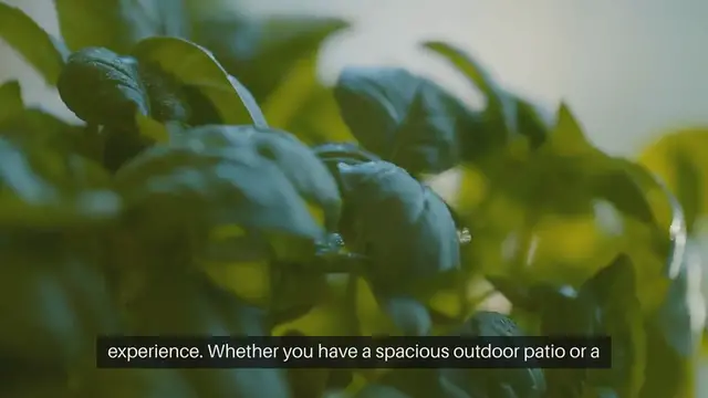 'Video thumbnail for Container Herb Gardening'