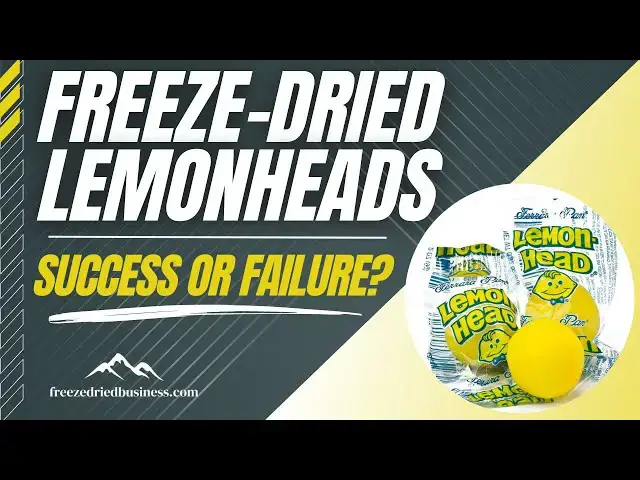 'Video thumbnail for Here is What Happens When You Freeze-Dry Lemonheads | How To Freeze-Dry Candy -Freeze Dried Business'