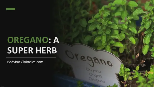 'Video thumbnail for Oregano: A Super Herb for Healthy Nutrition'