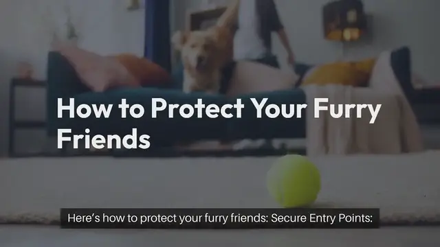 'Video thumbnail for Keeping Pets Safe from Intruders'