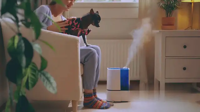 'Video thumbnail for The Benefits of Air Purifiers for Upper Airway Infections'