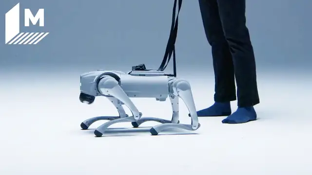 'Video thumbnail for AI-powered robot dog is learning to 'live' like a human'