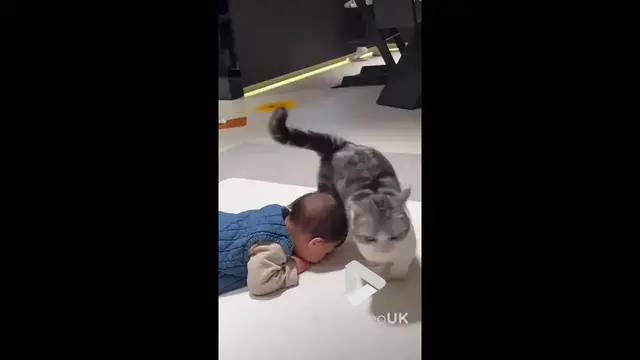 'Video thumbnail for VV4944 Kitten cuddles crawling baby'