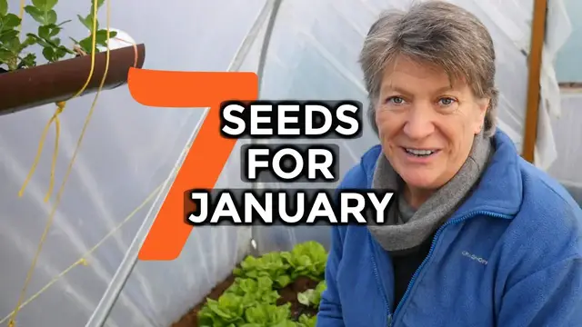 'Video thumbnail for What to sow in JANUARY | 7 Easy To Grow Crops'