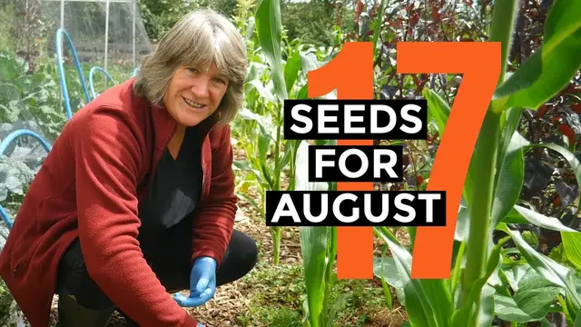 'Video thumbnail for What to Sow in August | Easy to Grow Food | Self-sufficient Vegetable Garden.'
