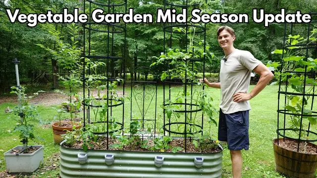 'Video thumbnail for Veggie Garden - Mid Season Update'