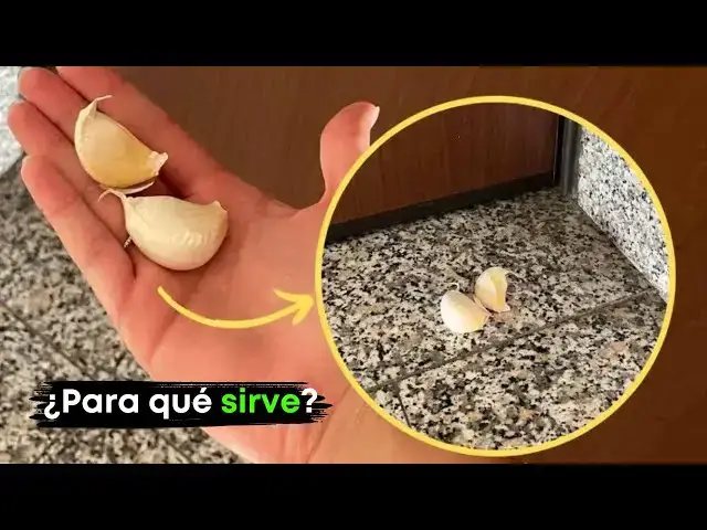'Video thumbnail for ¿Por qué dejar un diente de ajo frente a la casa? El truco que resuelve problemas'