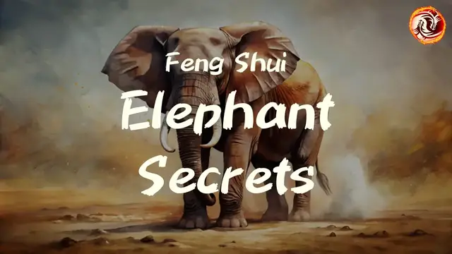 'Video thumbnail for Feng Shui Elephant Secrets: What They Really Mean and Where to Place Them'