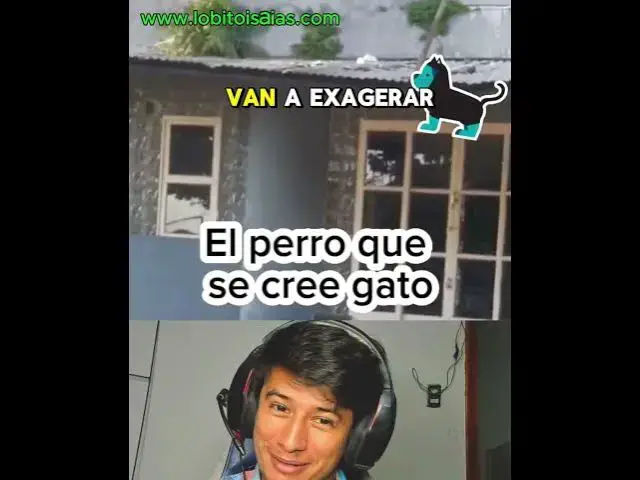 'Video thumbnail for EL PERRO QUE SE CREE UN GATO'
