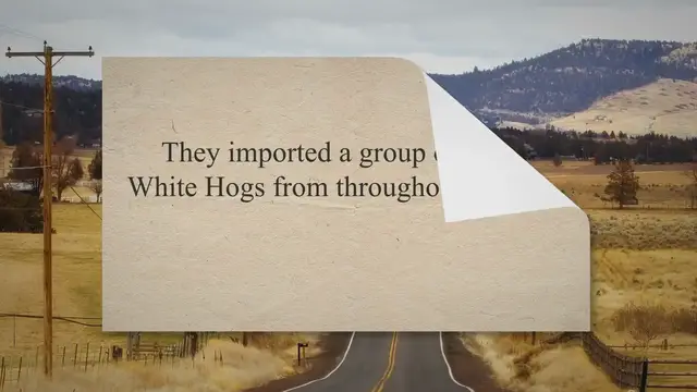 'Video thumbnail for American Landrace: Breed Guide'