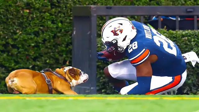 'Video thumbnail for Weirdest Penalties In College Football History...'