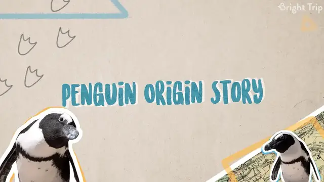 'Video thumbnail for Why Are Penguins in South Africa?'