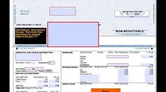 'Video thumbnail for Paychex payroll Editable Pay Stub generator with auto calculating paycheck maker'